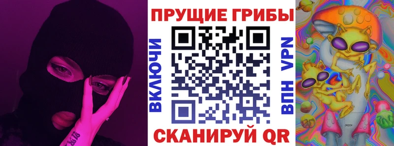 закладки  Новый Уренгой  hydra рабочий сайт  Псилоцибиновые грибы мицелий 