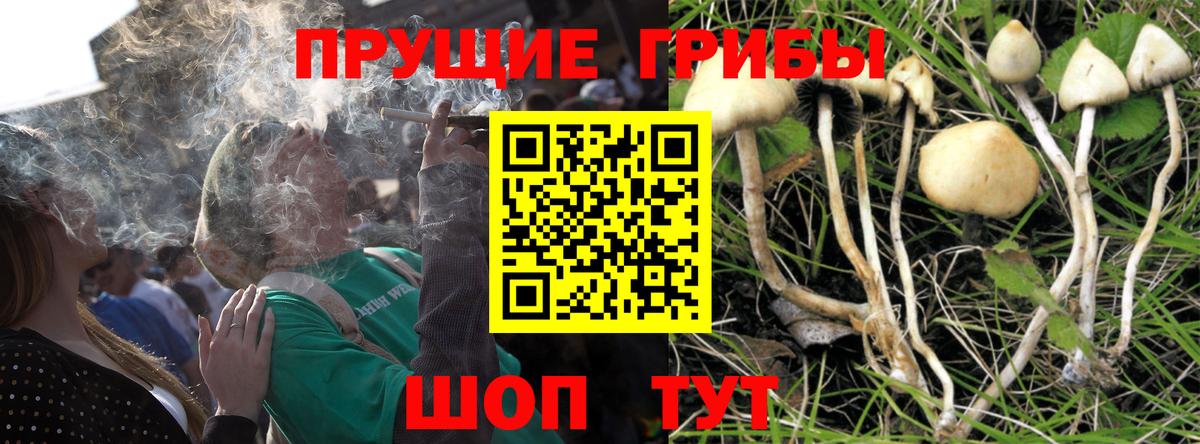 Галлюциногенные грибы ЛСД Новый Уренгой