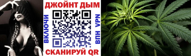 Бошки марихуана AK-47  закладка  Новый Уренгой 